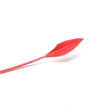 Cherry Red Arrow Head Feather